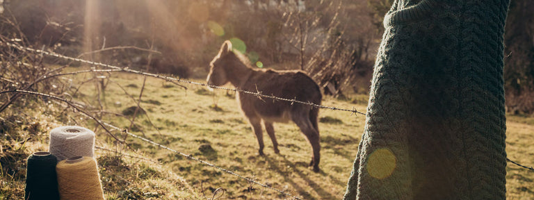 Guinness, Shamrocks and the quintessential Aran Sweater